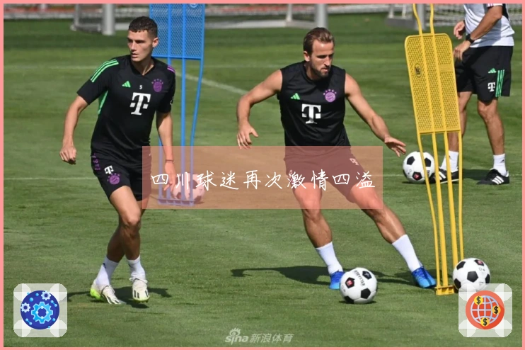 四川球迷再次激情四溢