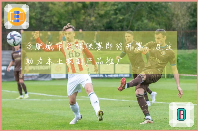 合肥城市足球联赛即将开赛，庄主助力本土农副产品推广